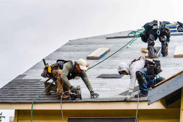 Professional Gutter Installation technician working in Kingston, GA